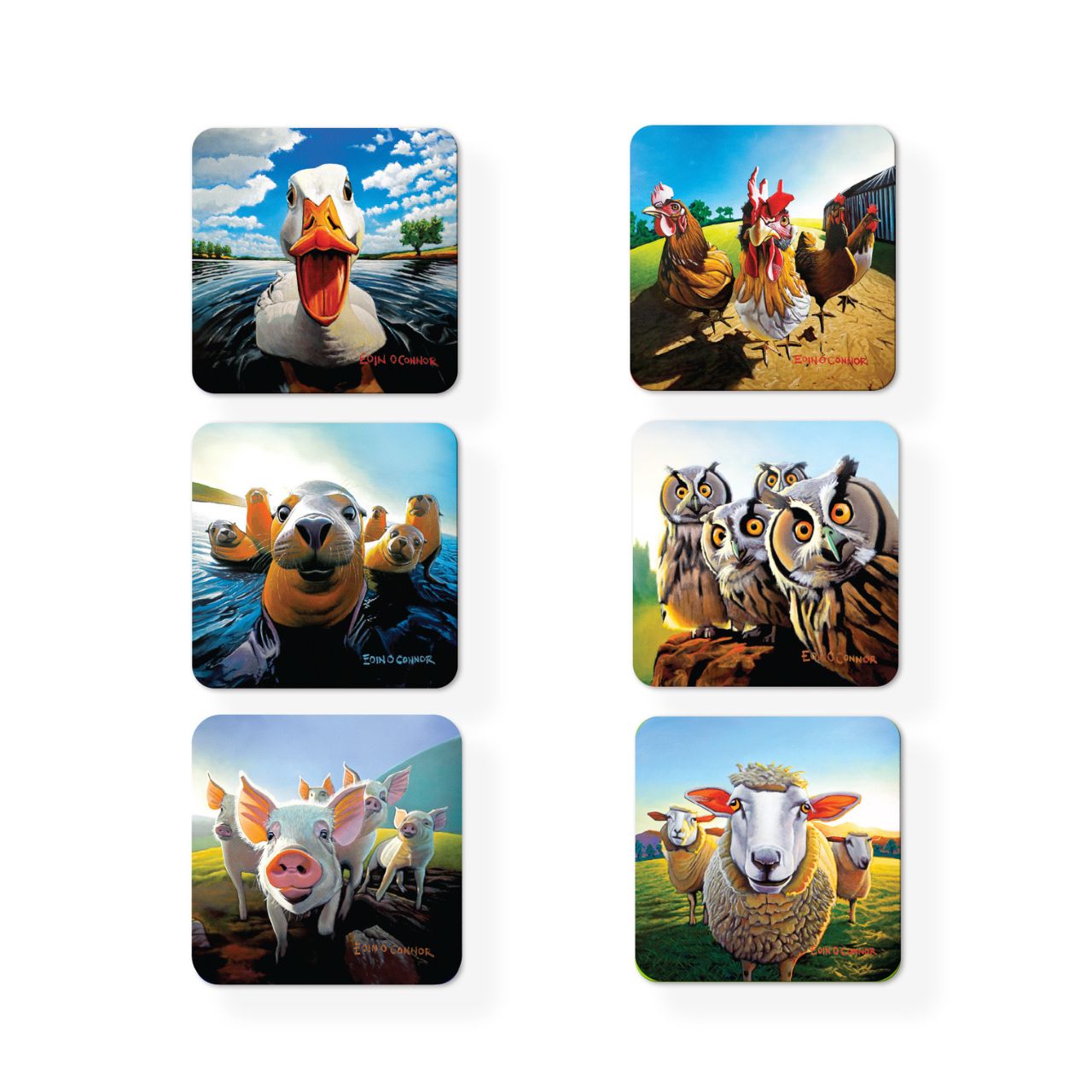 Protect your surfaces with a splash of humour and charm from the Beyond the Herd collection. This set of 6 coasters features delightful animal characters—pigs, ducks, seals, sheep, owls and hens—each with a fun, funny twist that will bring personality to your table.