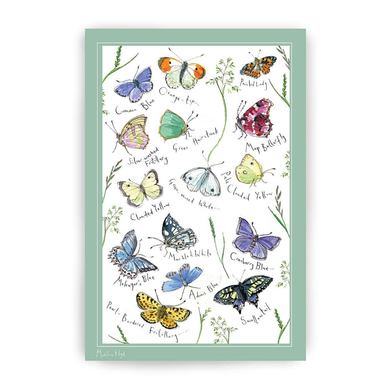 Embrace nature with Madeleine Floyd's beautiful Meadow Butterflies tea towel, as a new addition to our ever growing nature inspired collection. Watch this design come alive with a variety of quaint hand drawn butterfly breeds fluttering across the towel. Complimented by an elegant light teal, each butterfly inherits a range of both bold and pastel tones which create a vibrant and eye-catching appearance.